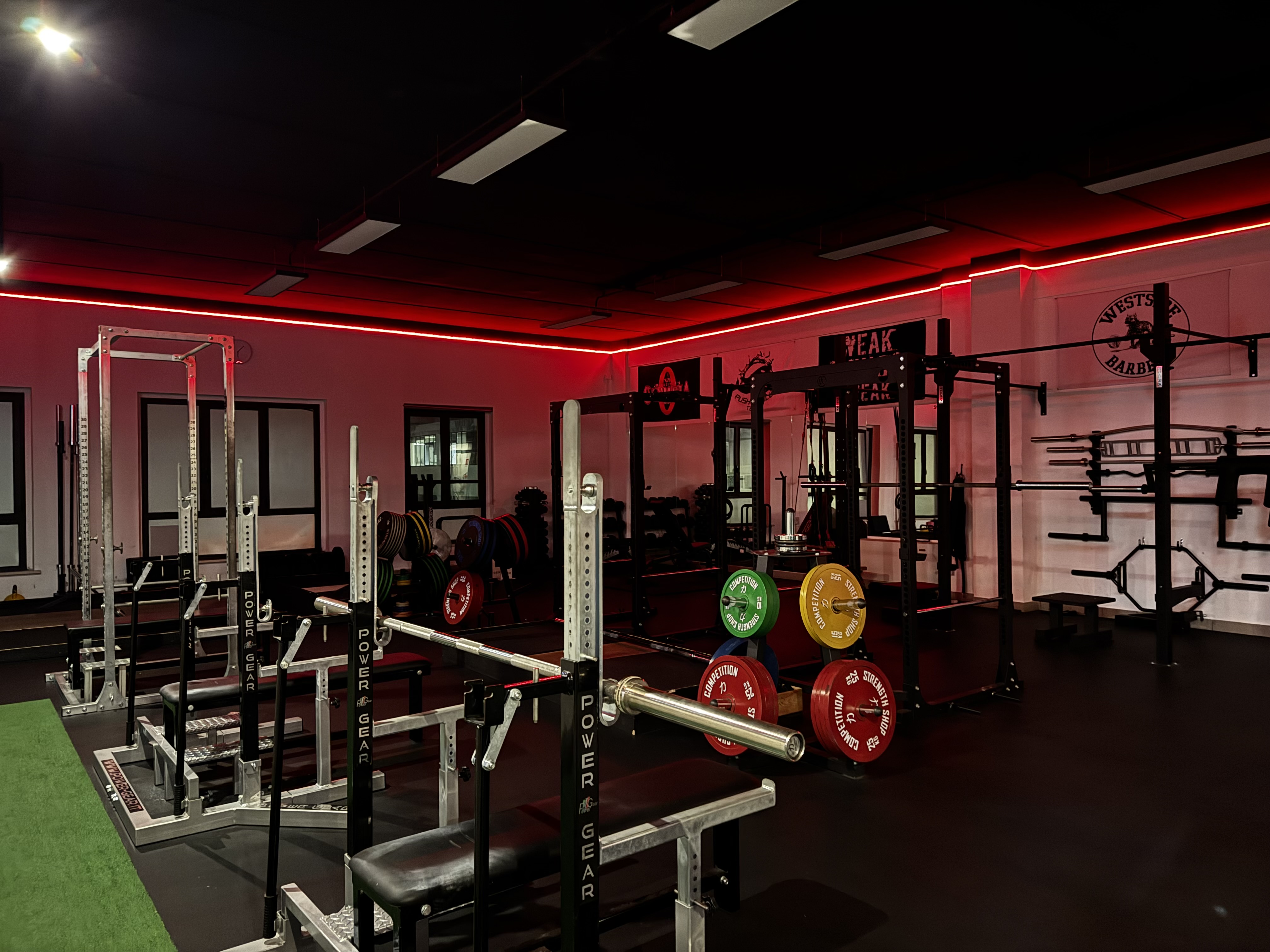PUSH&PULL - Power rack e dischi calibrati