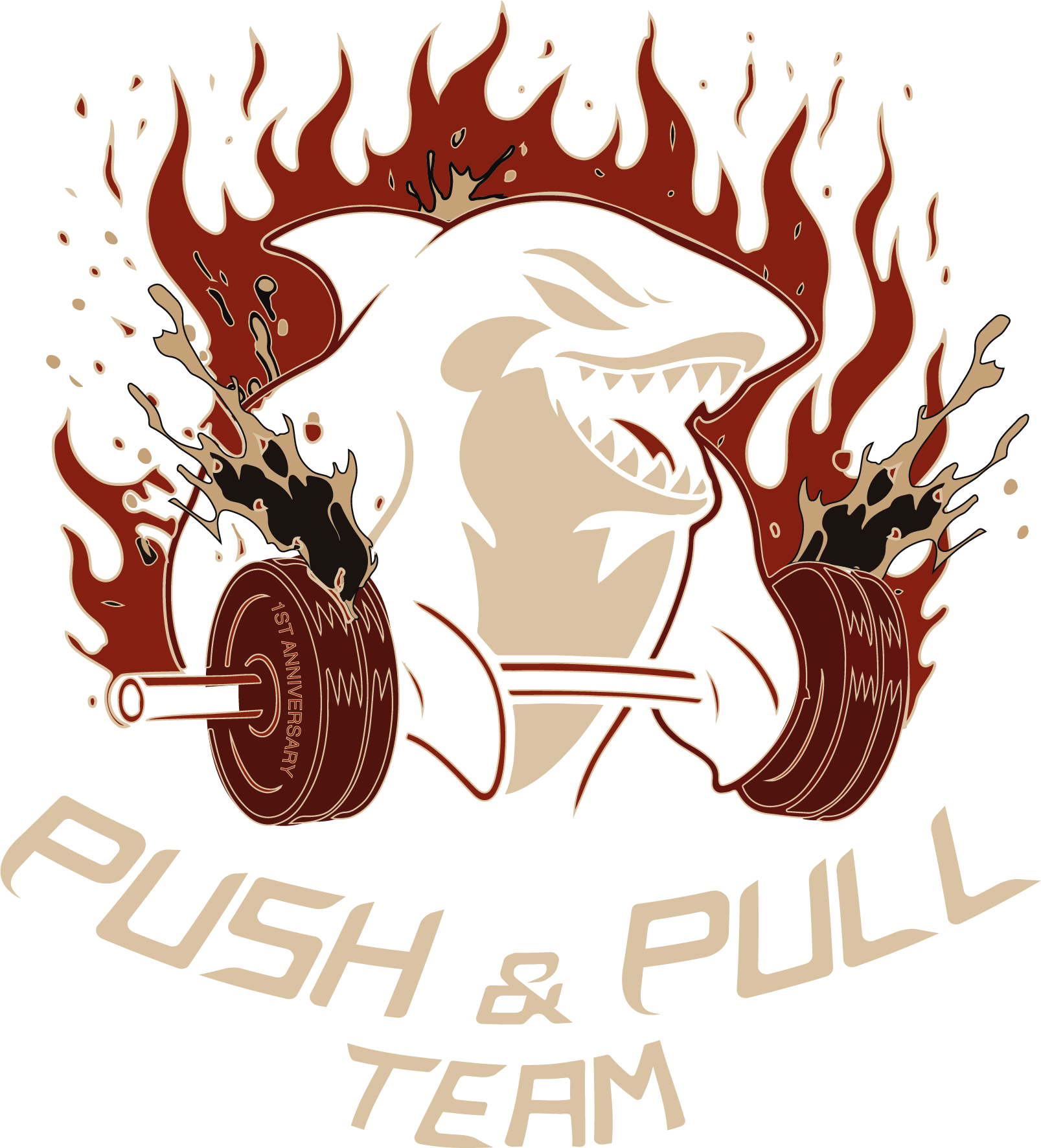PUSH&PULL Team Agonistico